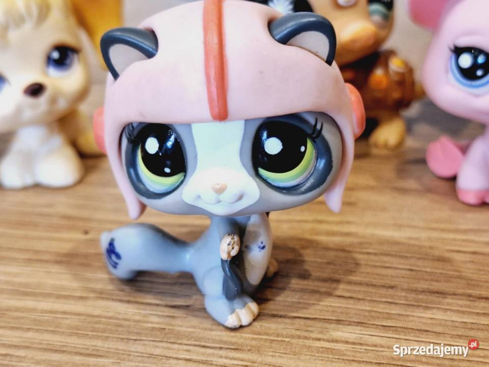 Wiewiórka latająca Littlest Pet Shop Hasbro Braniewo