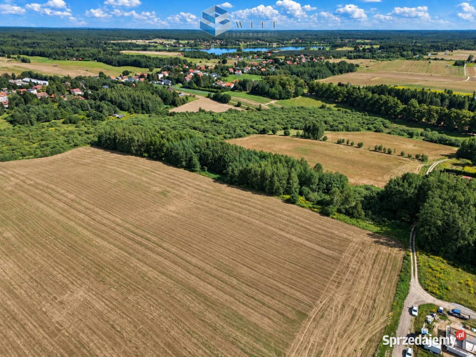 sprzedaży gruntu Zwierzewo 3124m2