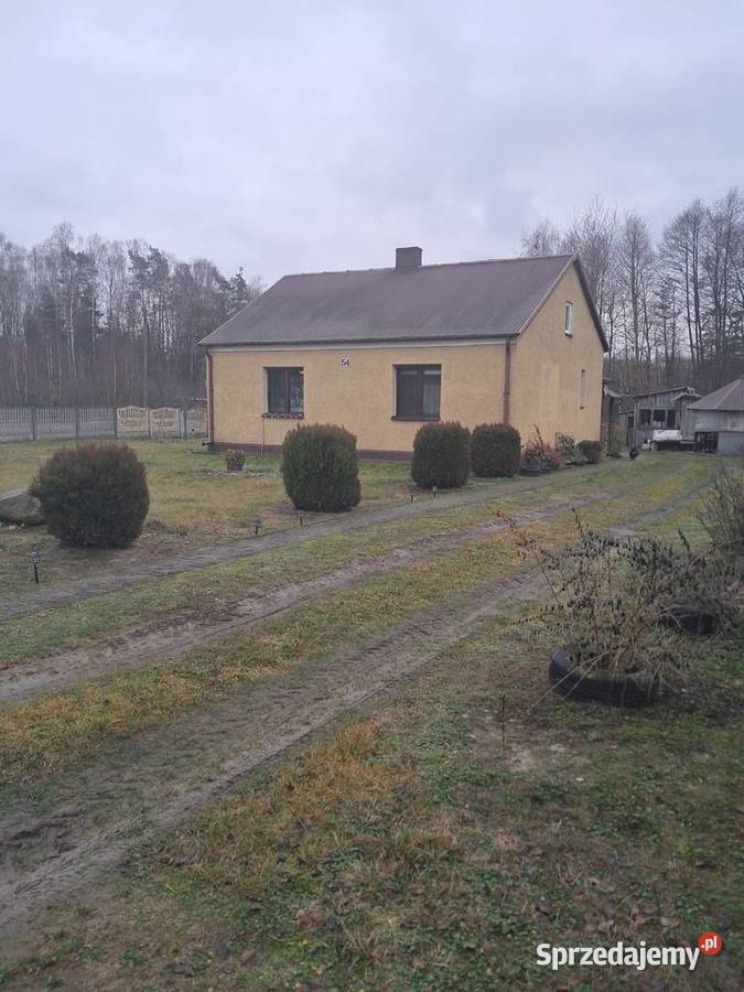 SPRZEDAM DOM Bogoria