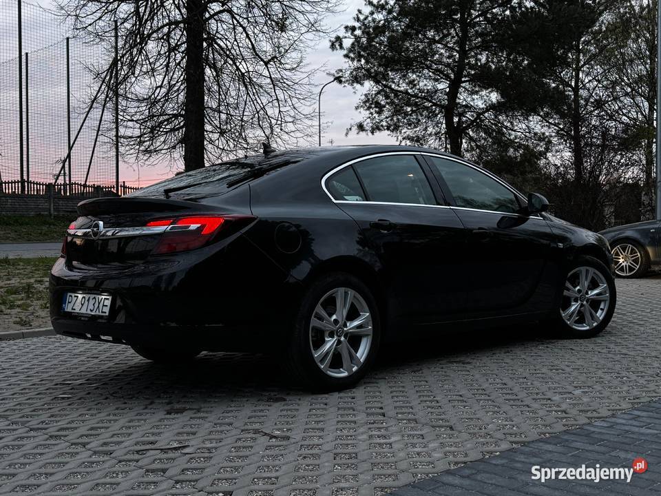 Opel Insignia Dąbrówka Wielka