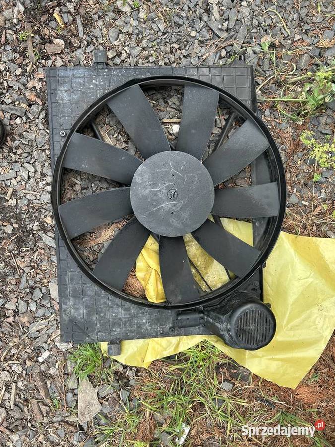 Wentylator chłodnicy Mercedes w220