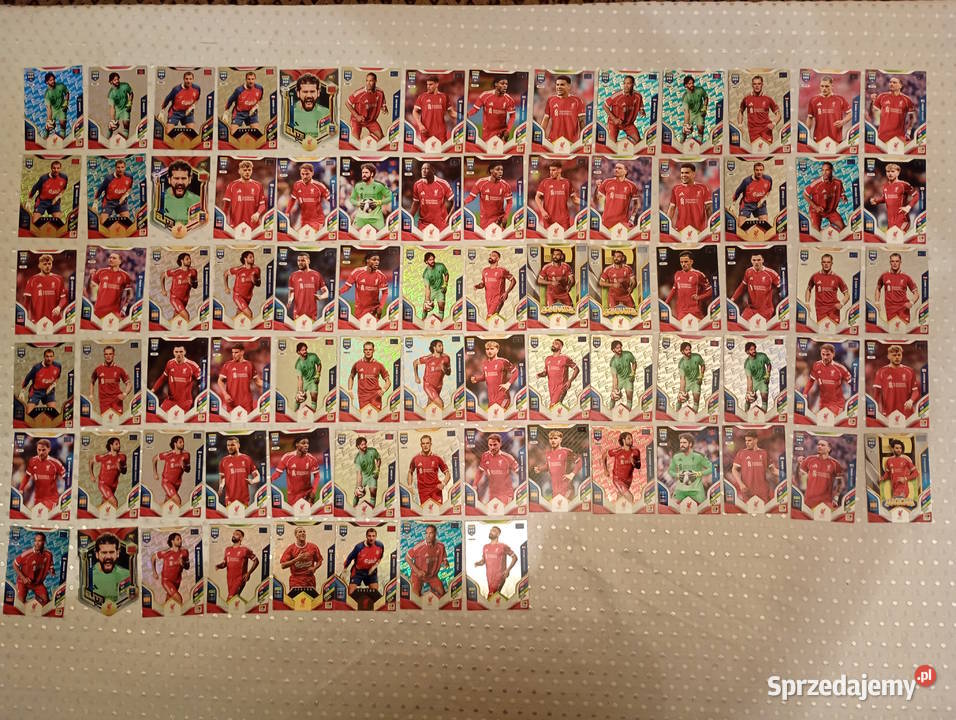 Karty piłkarskie kolekcjonerskie Panini FIFA 365