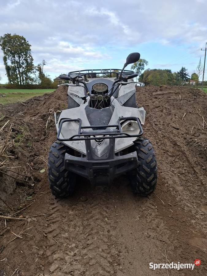 Quad sym eton vectors 250 Sarnaki