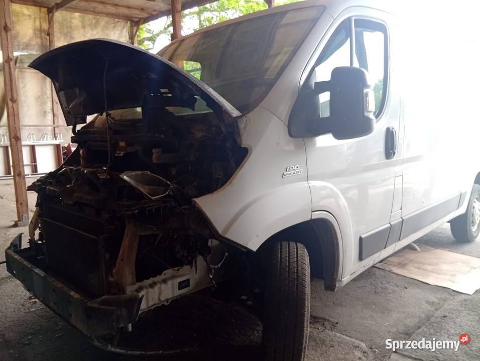 Na części do naprawy Fiat Ducato Bus Wrocław