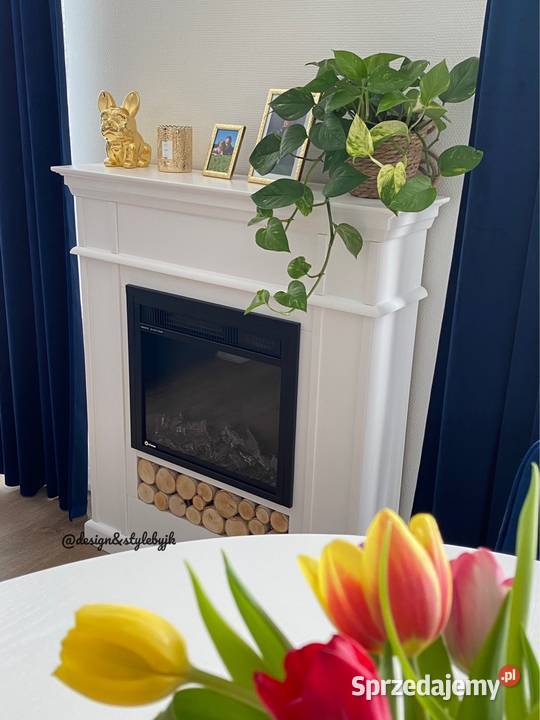Komienk Flame wkład elektryczny Aflamo drewno Warszawa