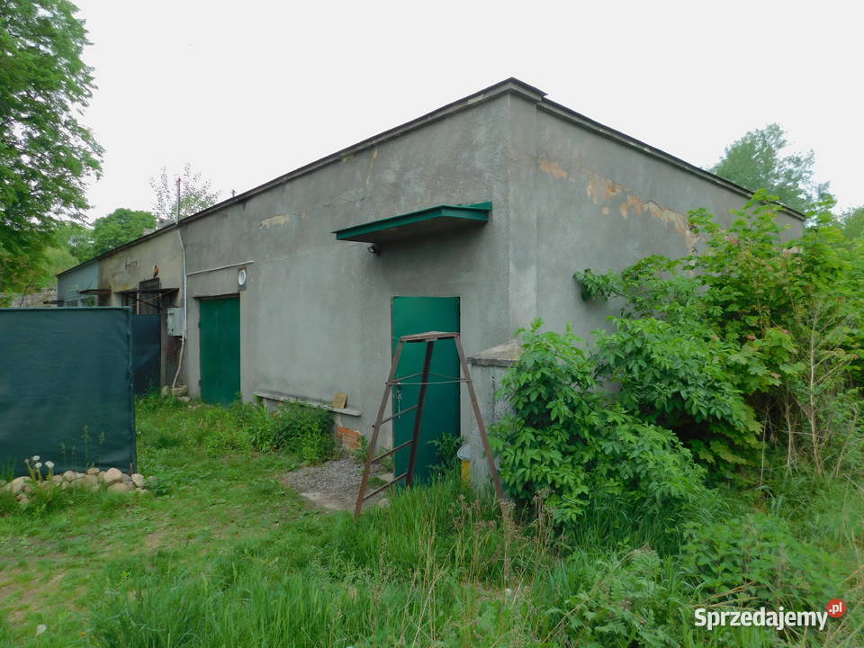 Syndyk sprzeda Grabów Wisłą rekreacyjna mazowieckie