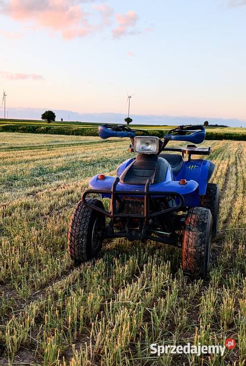 Sprzedam Quad Eton Yukon 150ccm automat wsteczny Głuchów