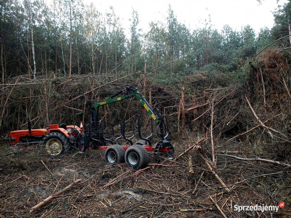 Wycinka drzew mazowieckie Radom
