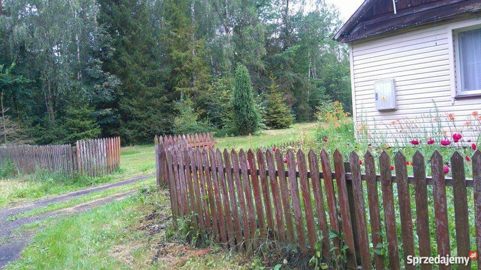 Sprzedam dwie działki z domem Romaszki