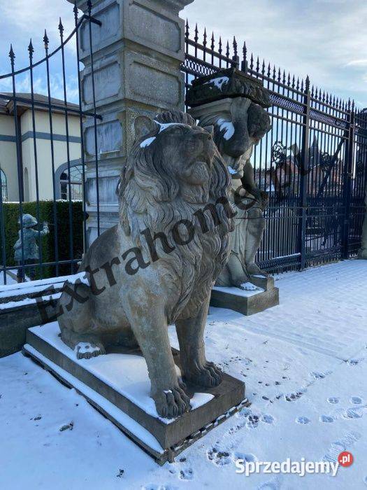 Lew pałacowy H220 figura z Kamienia Szczecin