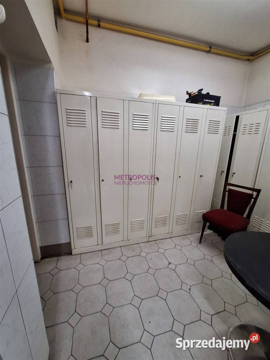 wynajmu lokalu Rybnik 40m2 śląskie