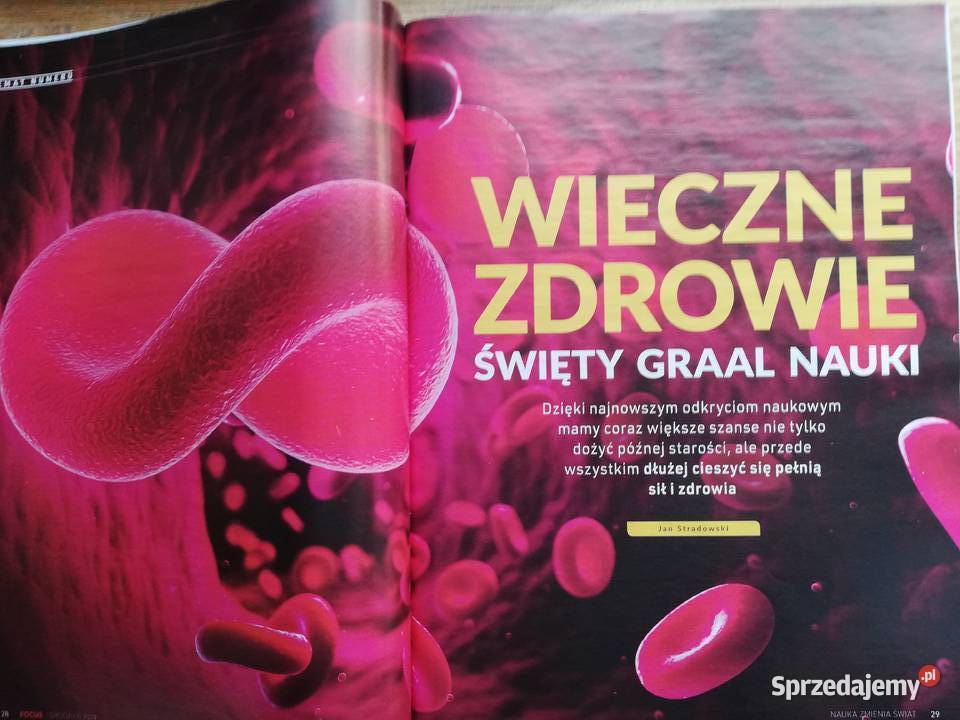 Focus Nauka zmienia świat Grudzień 2019 biologia, ekologia Kraków sprzedam