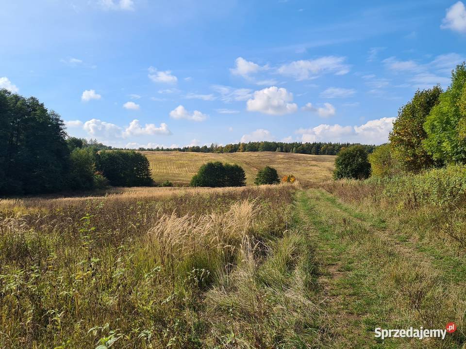 Budowlana z linią brzegową 164zł/m2 Tejstymy sprzedam