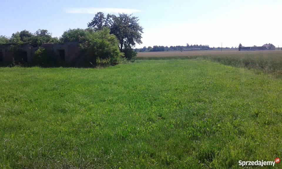 Sprzedam działkę Lipniki Stare