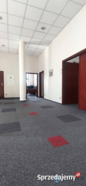 Lokal 3041m2 Czosnów