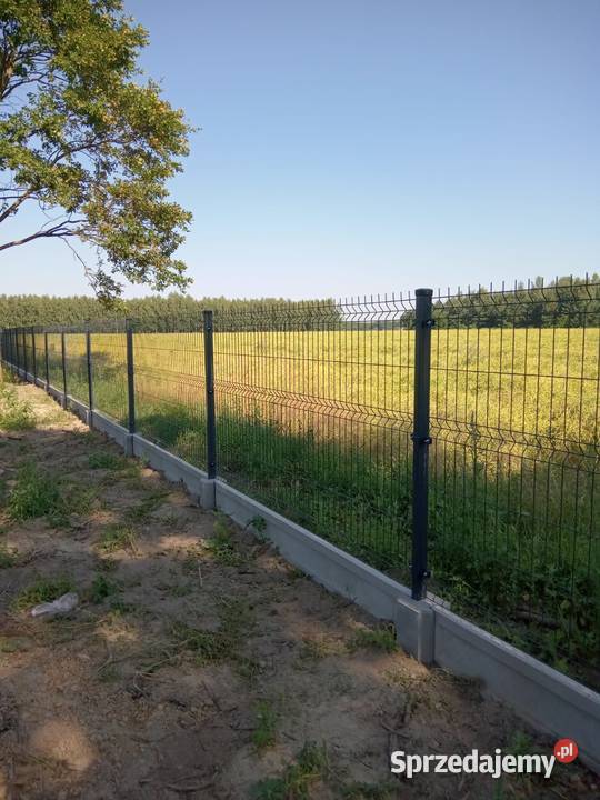 Panel ogrodzeniowy 133 40 ocynkRAL Starachowice