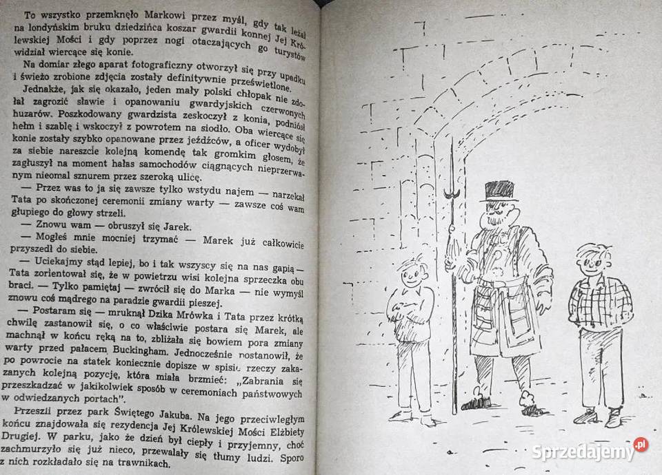 Dzika Mrówka i tam tamy Andrzej Perepeczko sprzedam