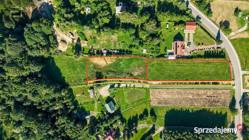 sprzedaży działki Straszydle 2000m2 Sprzedaż sprzedam