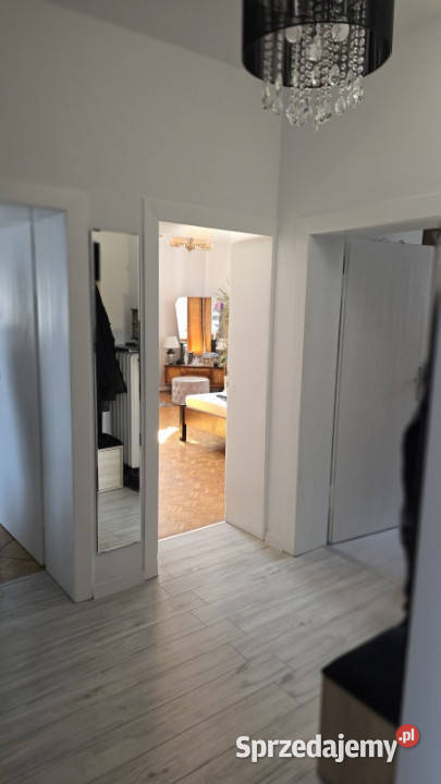 Dom dwulokalowy z dwoma lokalami usługowymi Poznań sprzedam