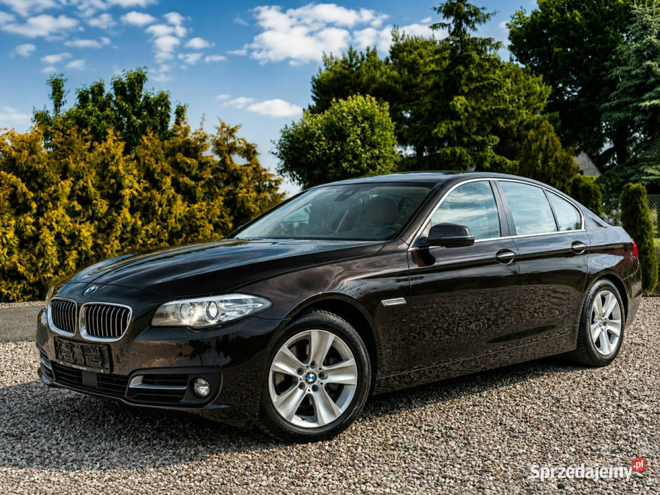 BMW 520 F10 20092017 Motoryzacja Sadlno