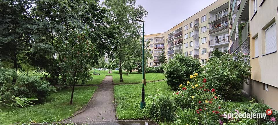 Sprzedam mieszkanie 4 pokojowe Wrocław Psie Pole