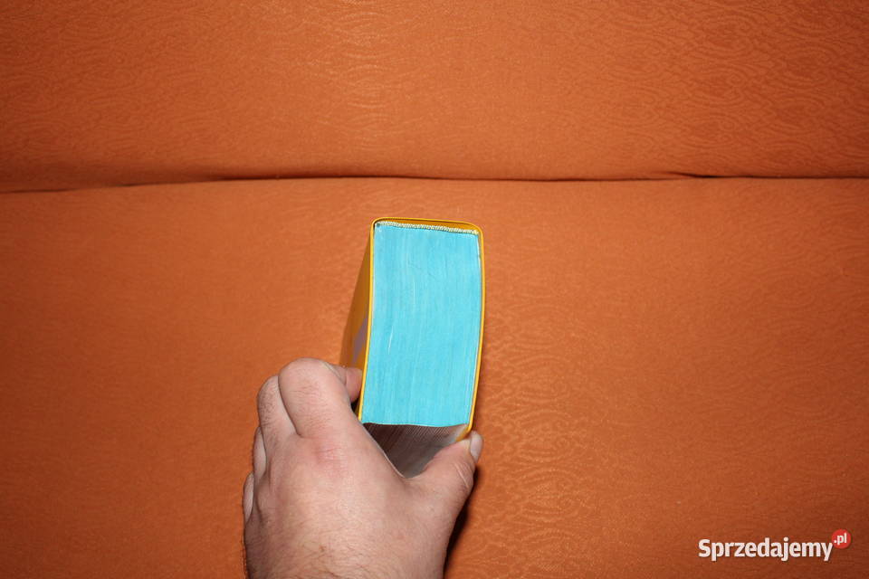 Langenscheidts Taschenwrterbuch Polnisch Książki do nauki języka obcego Chorzów sprzedam