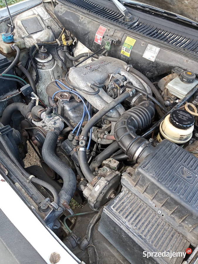 Polonez Truck Plus 16gaz oryginał Skarszewy