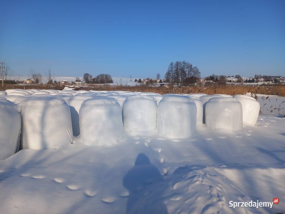 Wysłodki mokre w belach lubelskie Michalów