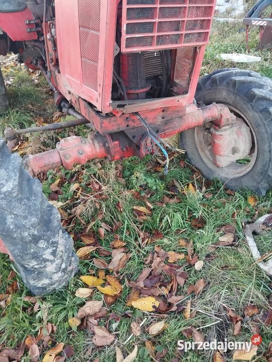 My 82 części Skała sprzedam