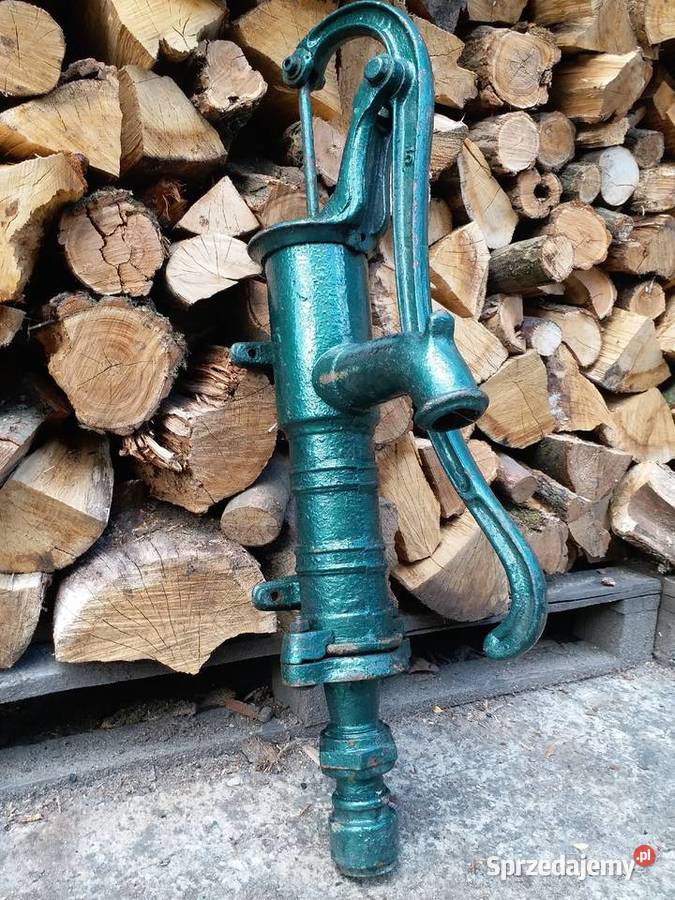 Pięknaduża pompa abisynka