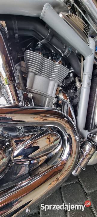 HarleyDavidson VRSCA VRod 100th Anniversary chopper Andrespol