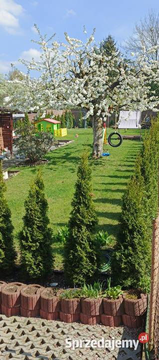 Mieszkanie z działką i garażem zachodniopomorskie Szczecin