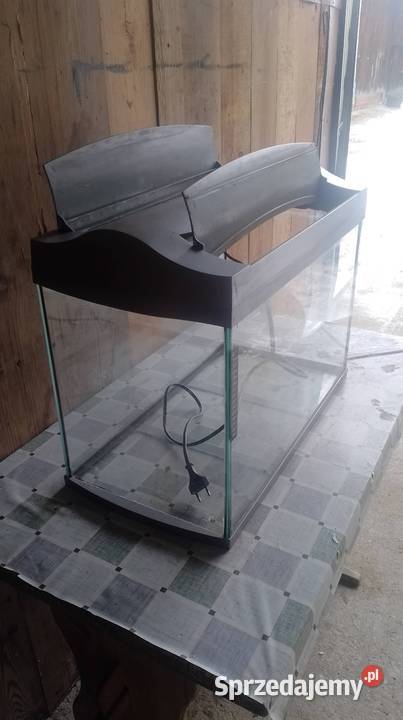 Akwarium Tetra 61 L uszkodzone rozszerzenie Czarzyzna