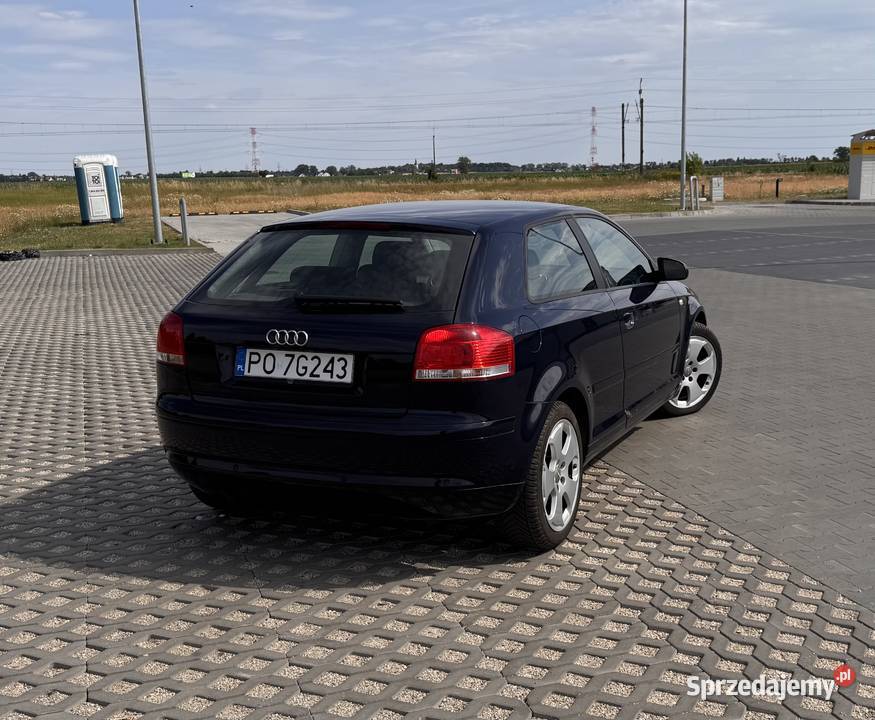 Audi A3 8P 16 benzyna 2005 102KM Dopiewiec