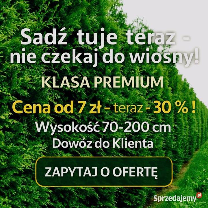 SPRZEDAM NAJŁADNIEJSZE TUJE SZMARAGD Wyjątkowa 7 małopolskie Ciężkowice