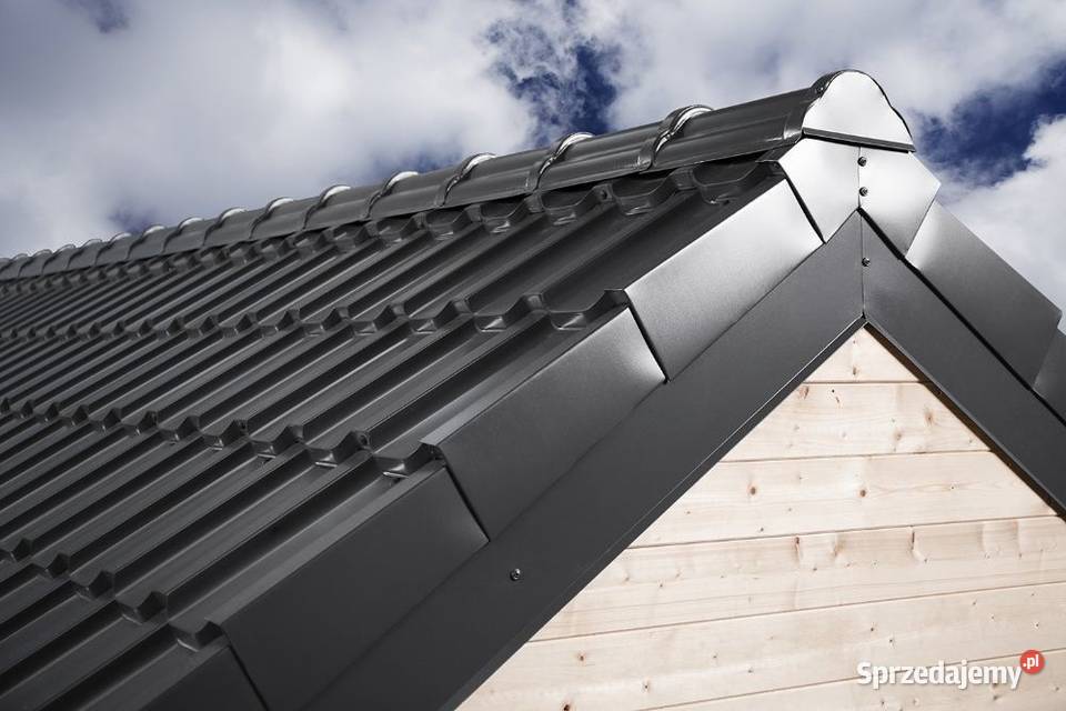 Blachodchówka modułowa II gatunek Panorama Leszno