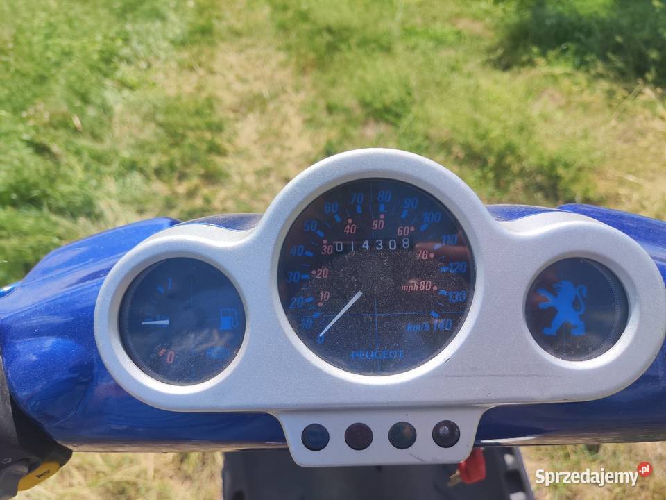 Peugeot Speedfight 100 kupiony w Polsce Morzyczyn