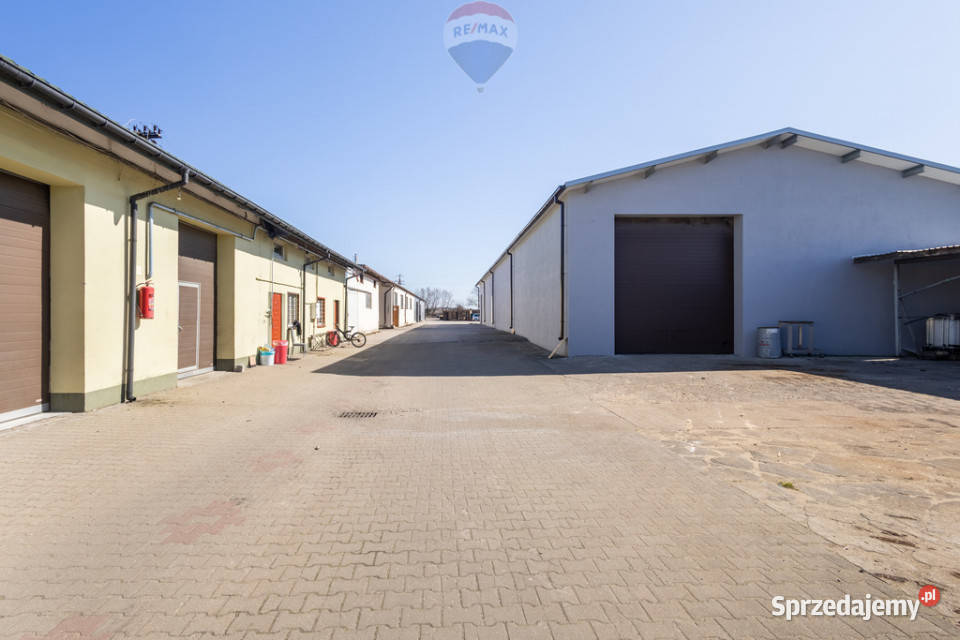 Hala magazynowa na wynajem Chynów