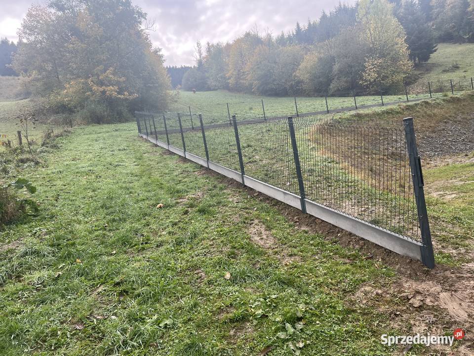 Ogrodzenia Panelowe Montaż Waksmund usługi budowlane