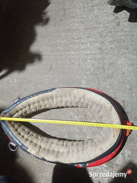 sprzedam homonto na lekkiego konia Wola Radłowska