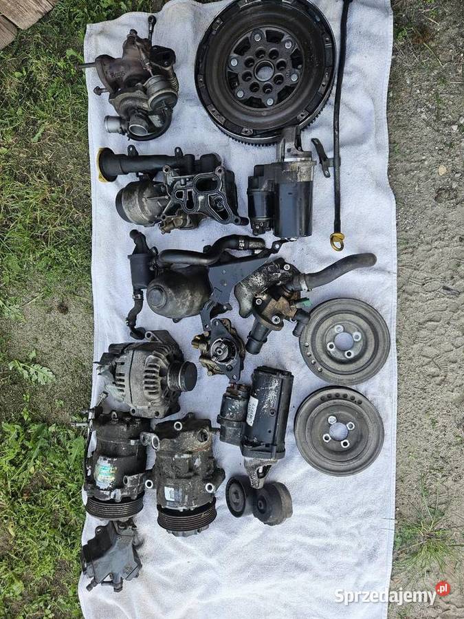 Części do silnika 13 cdti jtd tdci Trzemeszno