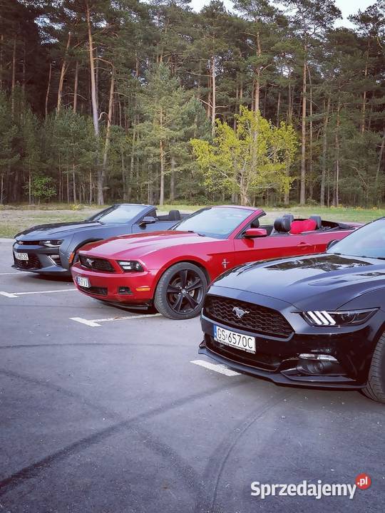 Sprzedam Ford Mustang V 36 v6 lpg