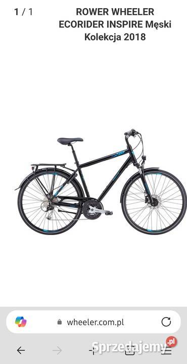 Rower Wheeler Ecorider koła 28 warmińsko-mazurskie Olsztyn sprzedam