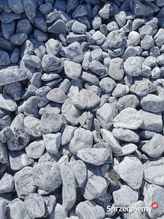 OTOCZAK SILVER SREBNY OTOCZAK OGRODOWY OZDOBNY Bielawa