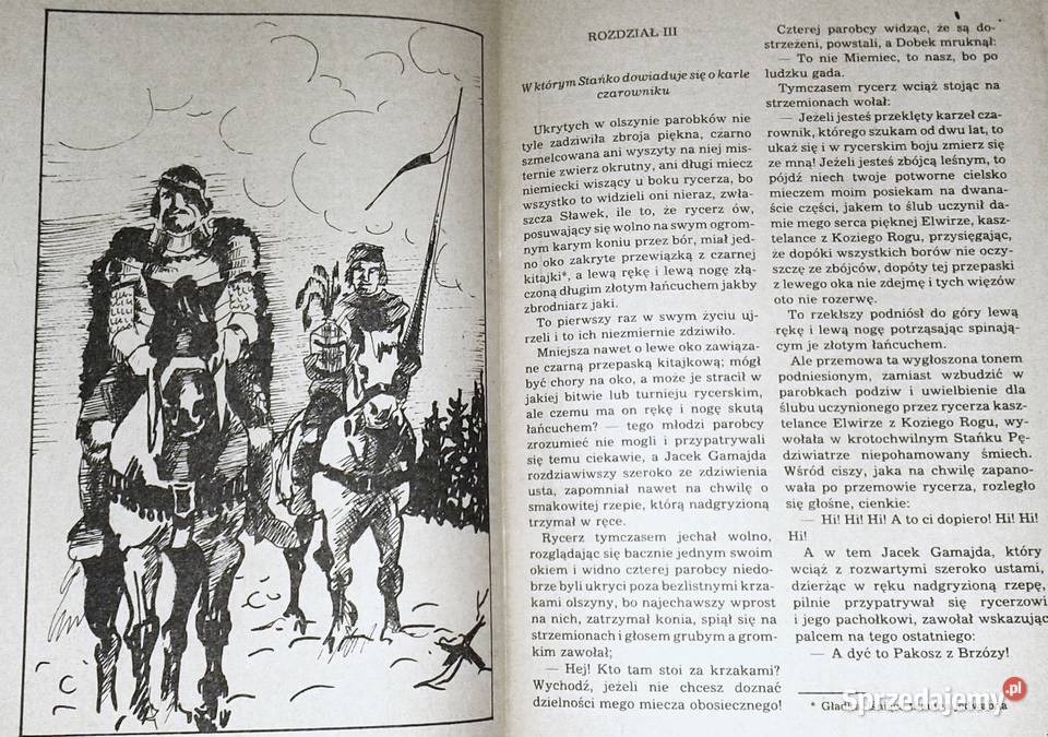 Grunwald Część 1 i 2 Walery Przyborowski Chełm