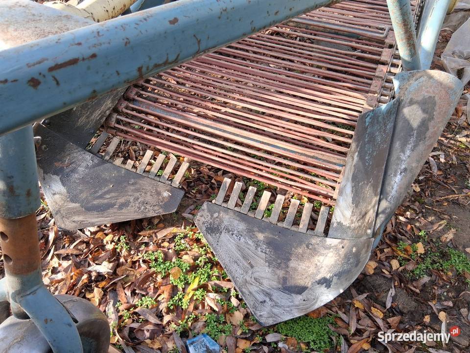 Kopaczka elewatorowa 2 rzędowa nieuszkodzony lubelskie Puławy