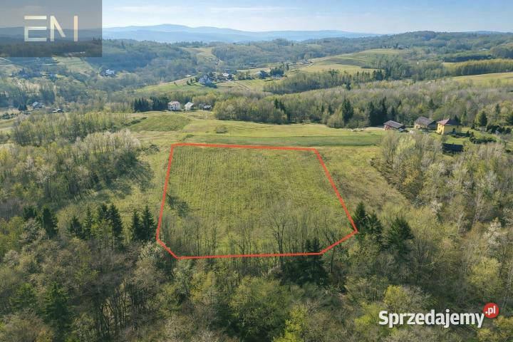 Działka 8800m2 Huta Gogołowska