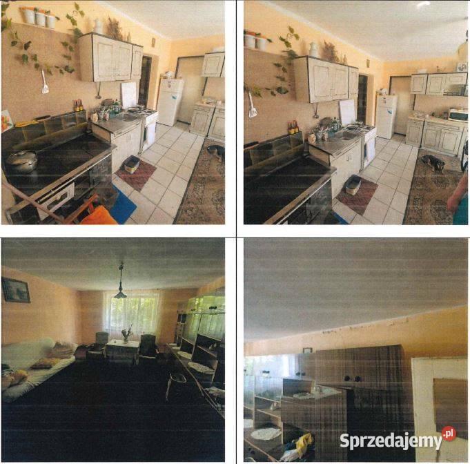 Syndyk sprzeda siedlisko dom i budynki