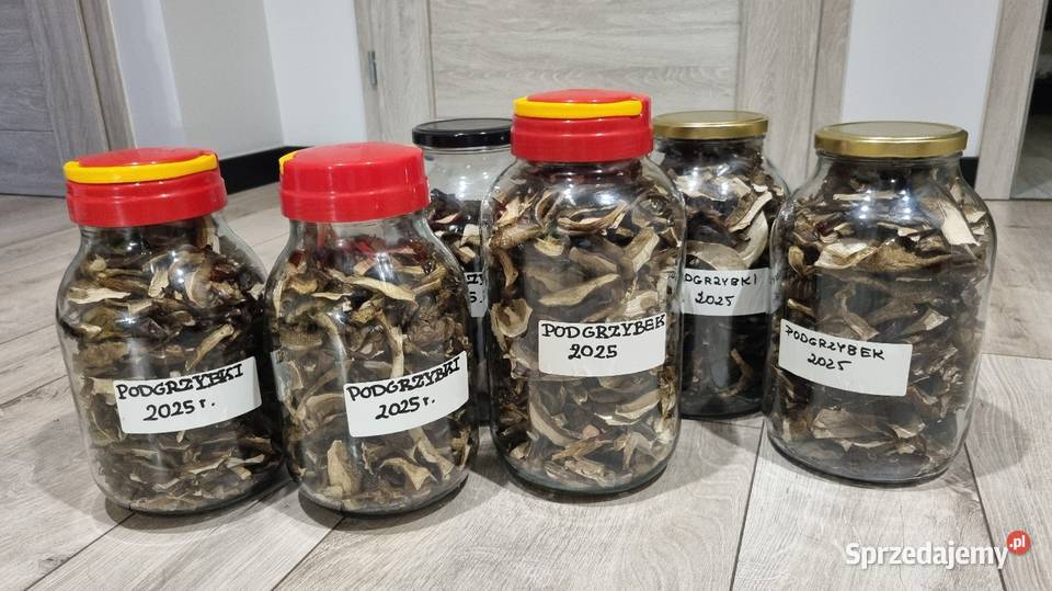 Podgrzybki suszone Zbiór 2025r 25 100g Pozostałe sprzedam