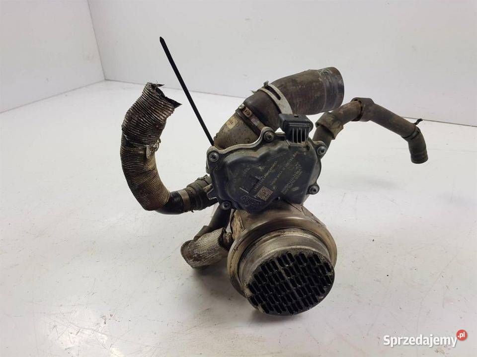 CHŁODNICZKA SPALIN 04B131501D SKODA FABIA III osobowe kujawsko-pomorskie Lipno sprzedam